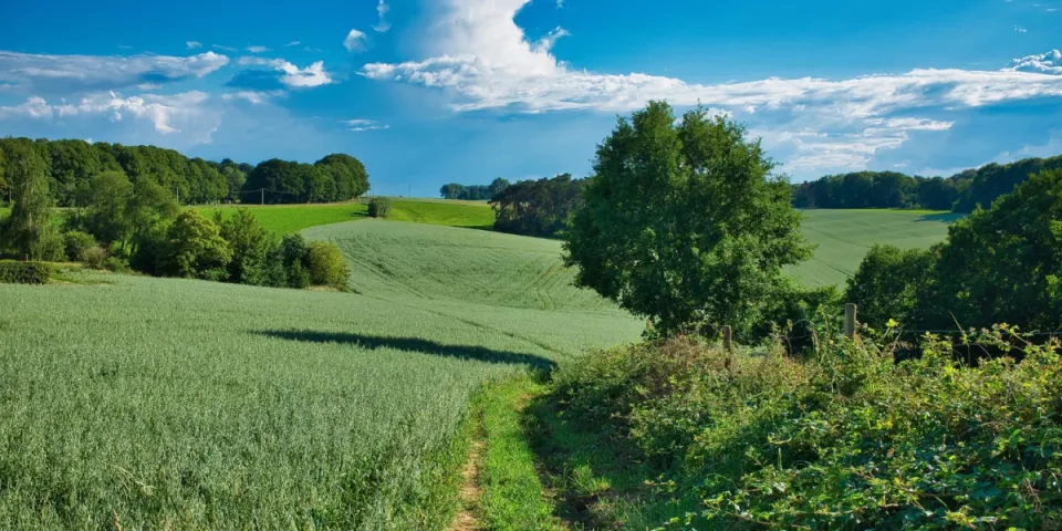 Zadbaj o zdrowie: Kluczowe nawyki, które zmienią Twoje życie!