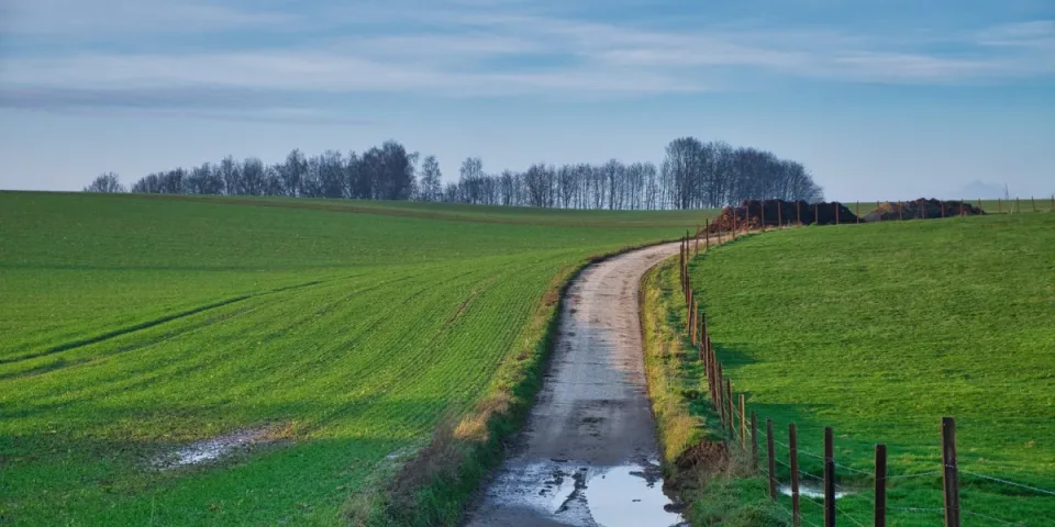 Zadbaj o zdrowie: Kluczowe kroki do lepszego samopoczucia!